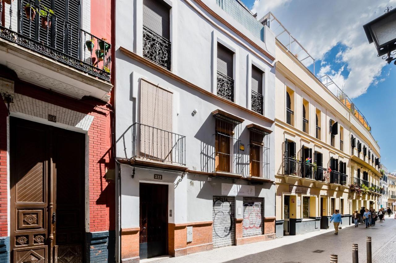 Minty - San Luis Apartamento